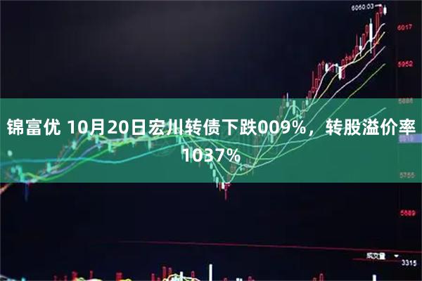 锦富优 10月20日宏川转债下跌009%，转股溢价率1037%
