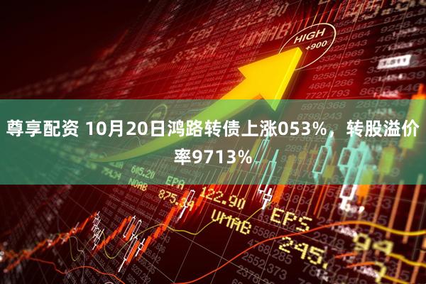 尊享配资 10月20日鸿路转债上涨053%，转股溢价率9713%